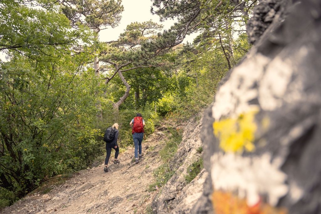 Wandern im Wienerwald
