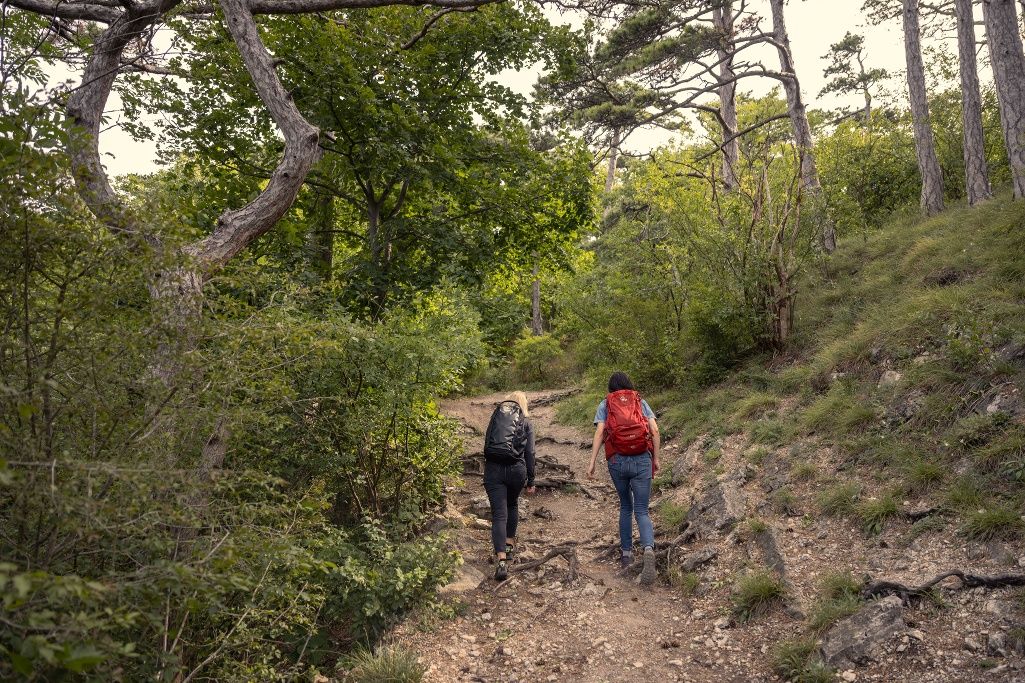 Wandern im Wienerwald