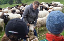 Schäferin Chista Veits hält ein Schaf und zeigt den Kindern die Paarhufe der Schafe.