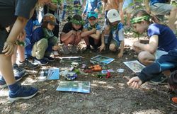 Kinder mit Naturpark-Gegenständen