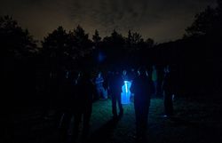 Personen stehen um Schmetterlingsleuchte