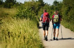 Zwei Wanderer genießen die frische Luft und die malerische Landschaft auf ihrem Weg durch die sanften Hügel. Umgeben von üppigem Grün und dem sanften Rauschen des Windes, erleben sie die Ruhe und Schönheit der Natur. Diese Pilgerwanderung bietet nicht nur körperliche Ertüchtigung, sondern auch eine spirituelle Auszeit.