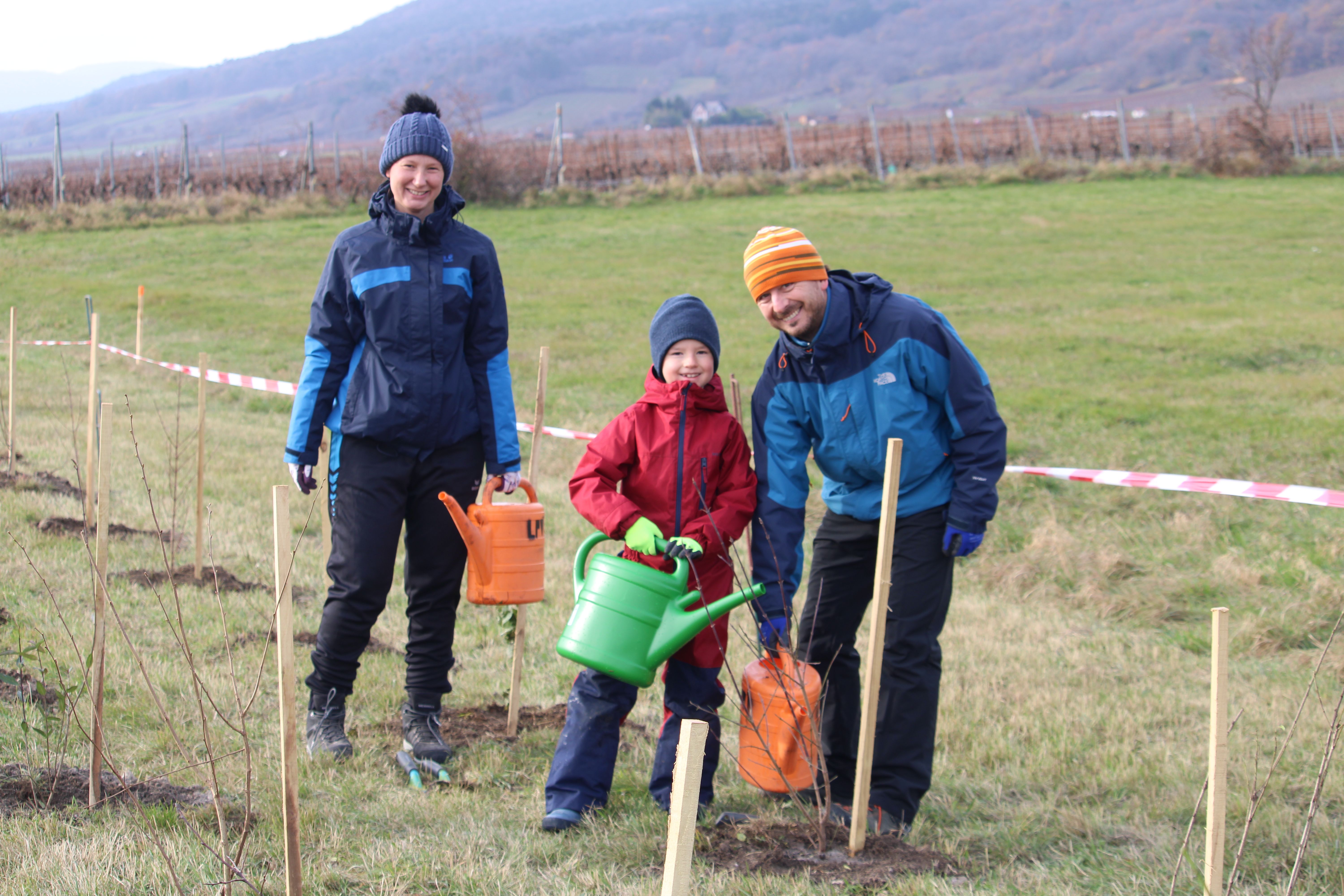 Familie gießt ihre eingepflanzten Heckenpflanzen.