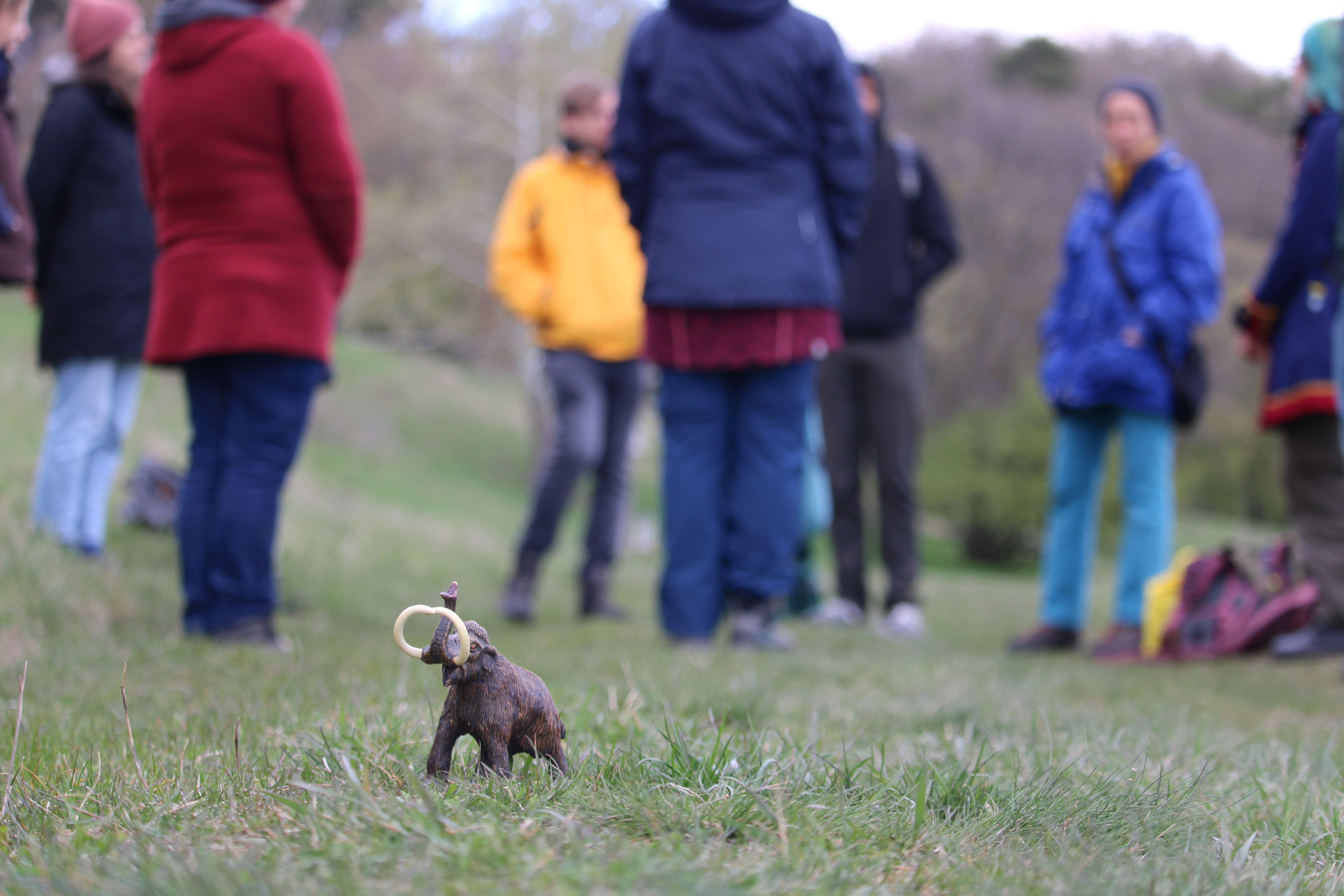Was macht das Mammut bei der Fortbildung auf der Gießhübler Heide? Die teilnehmenden Schüler:innen werden es Anfang Mai bei den Naturpark Tagen erfahren.