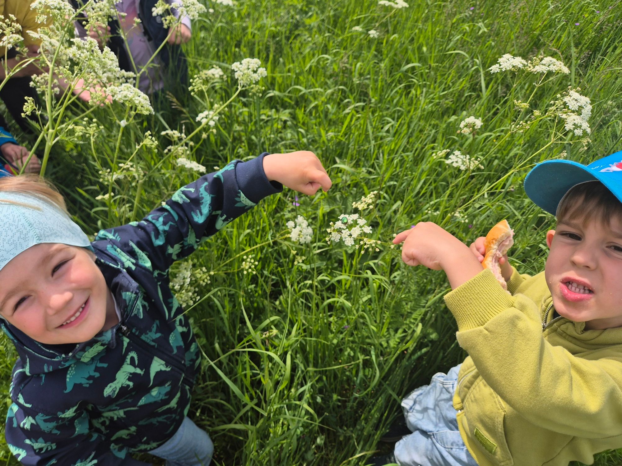 Kindergarten Kinder entdecken einen Gold-Rosenkäfer (Cetonia aurata)