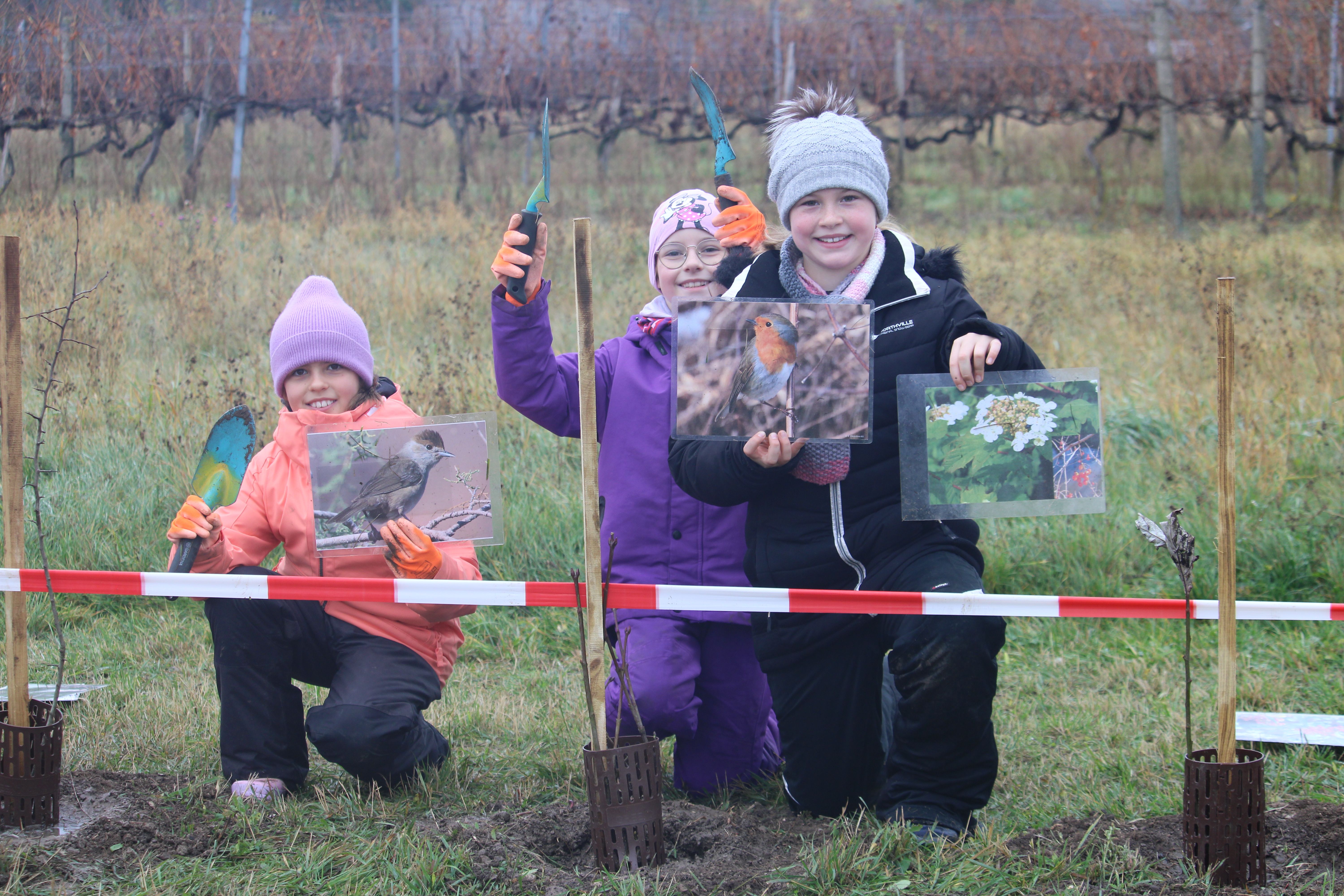 Kinder präsentieren stolz ihre eingepflanzte Heckenpflanze.