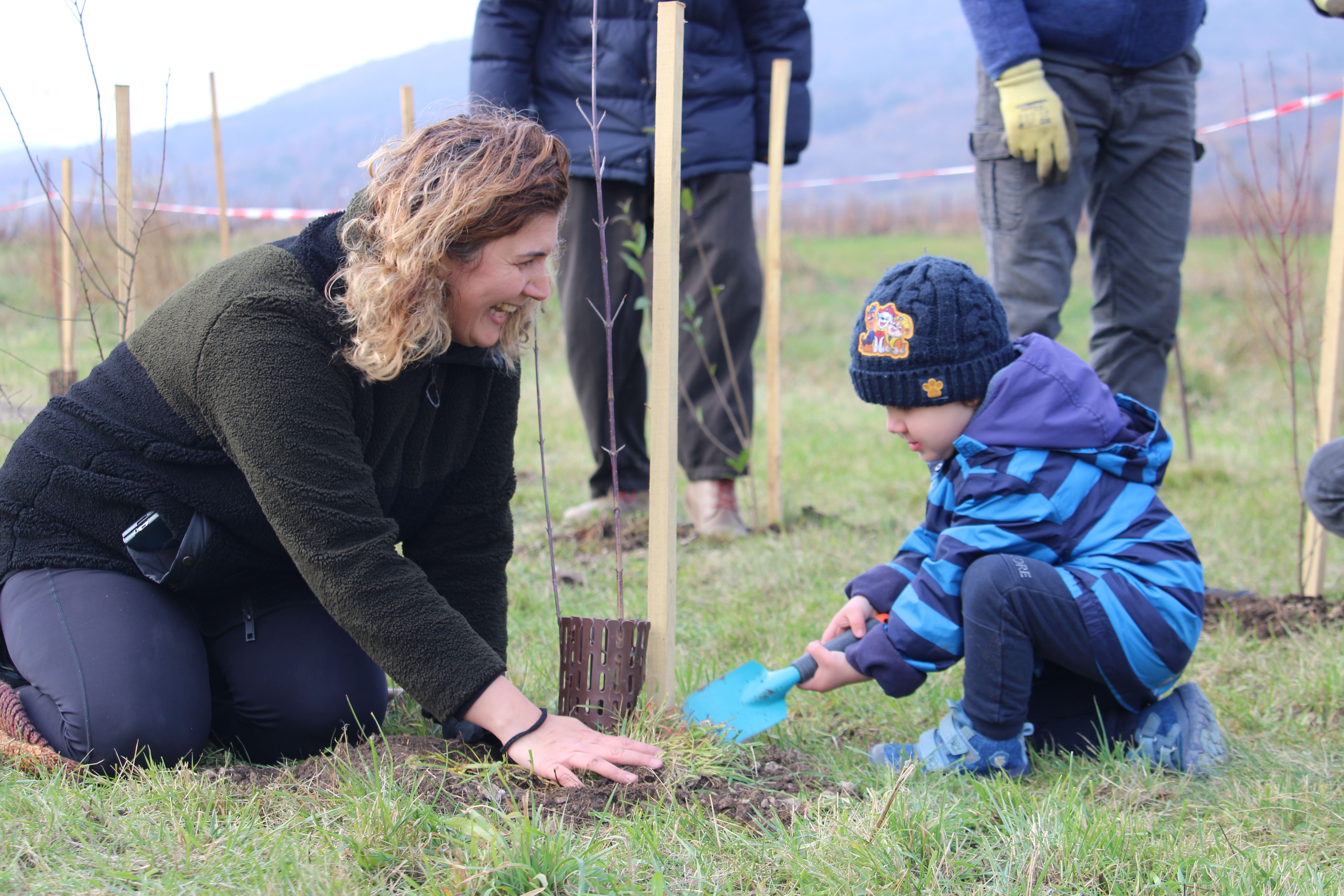 Mutter und Sohn pflanzen gemeinsam ein Gehölz.