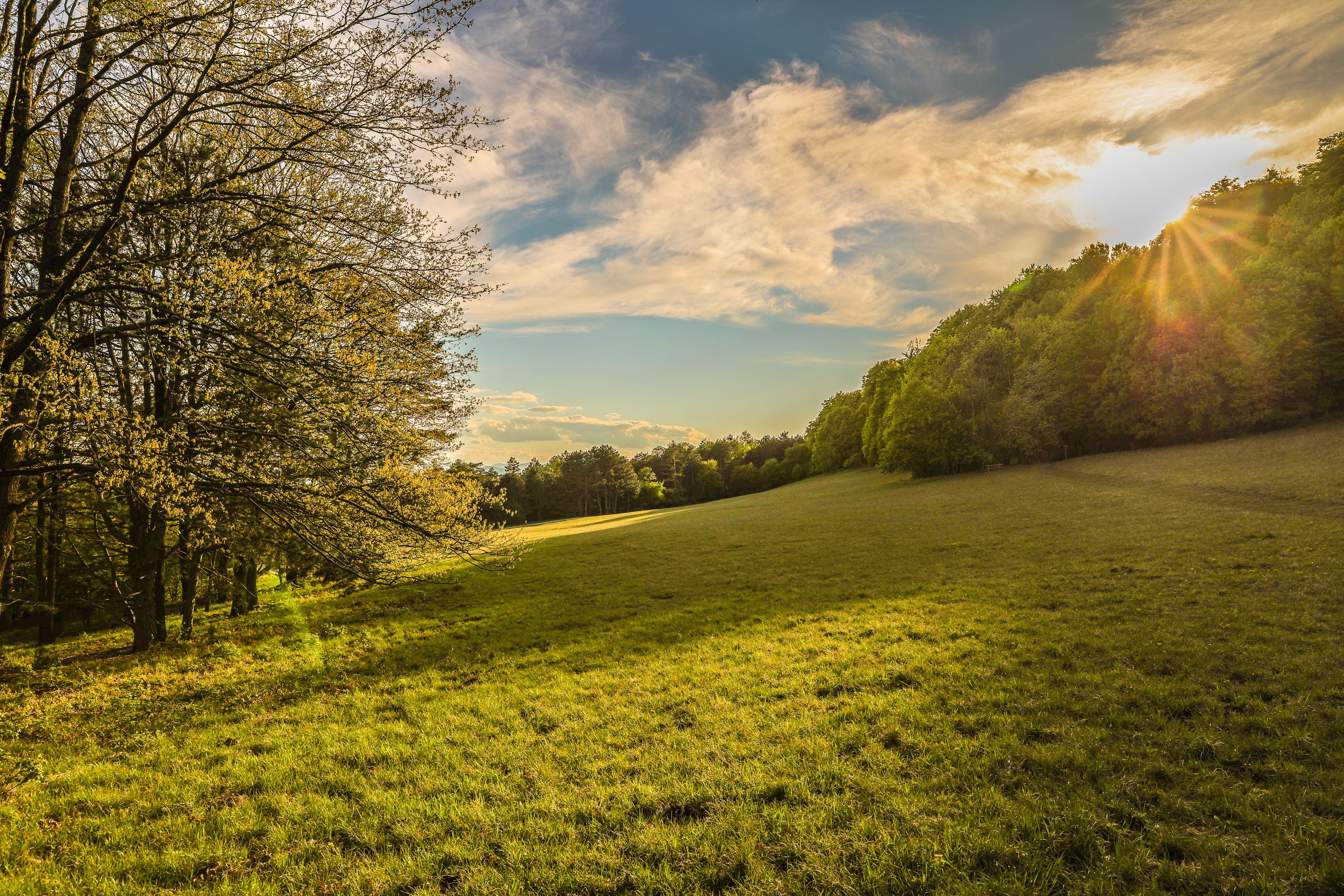 Natupark Sparbach