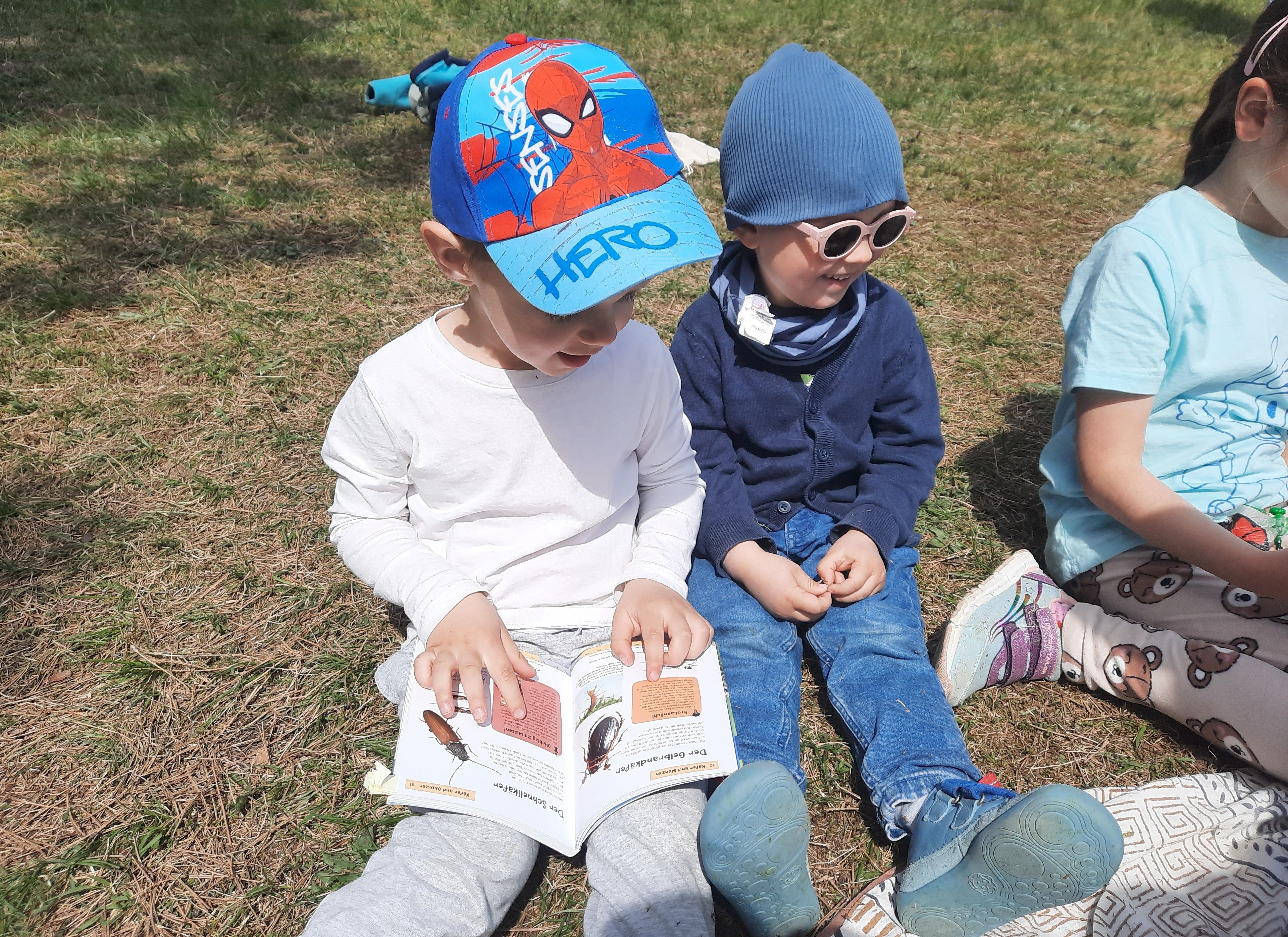 Kinder betrachten die spannenden Insekten im Bestimmungsbuch