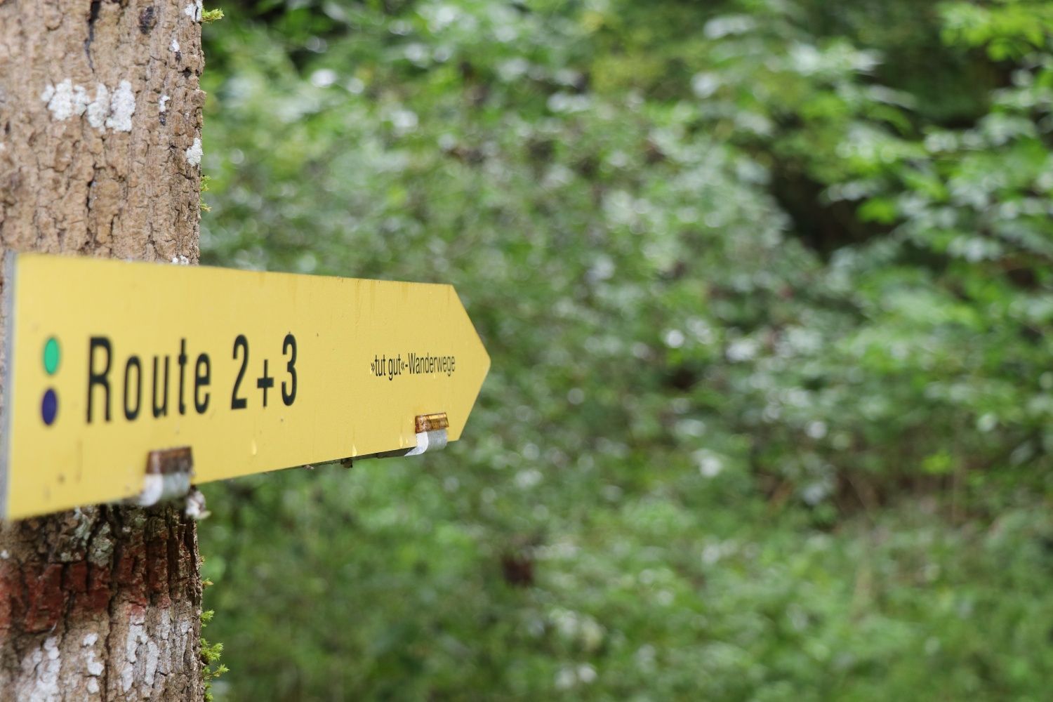 Richtungspfeil Wanderwege
