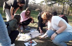 Spiel zu den 4-Säulen des Naturparks