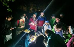 Personen betrachten Nachtfalter