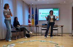 Teilnehmer:innen legen die Sichbarkeit von bestimmten Insekten im Jahresverlauf auf