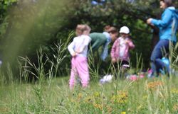 Kinder bei der Suche mir Becherlupen