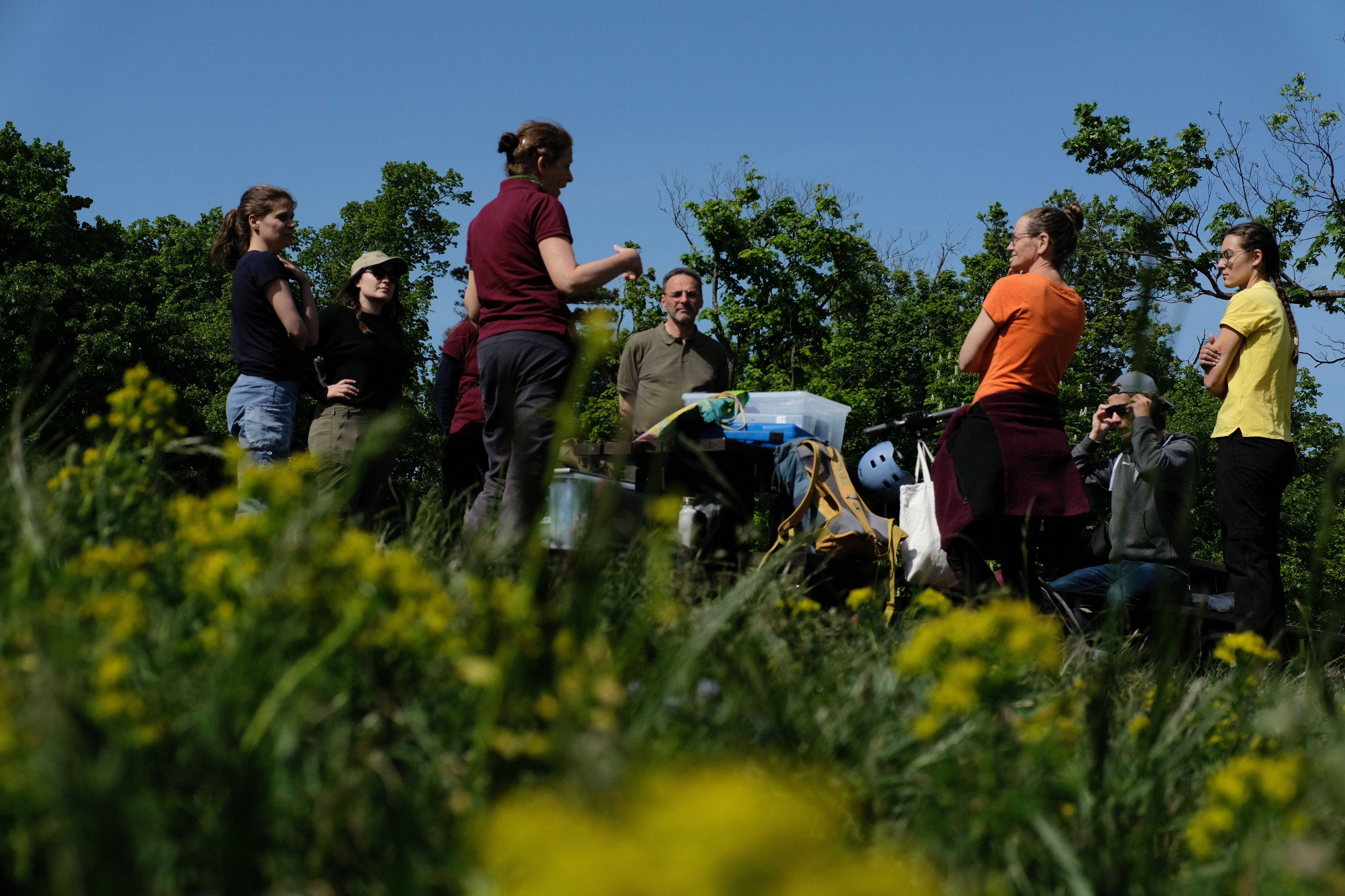 Start in die Fortbildung des Wiesenprogramms