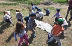 Kinder spielen ein Bewegungsspiel