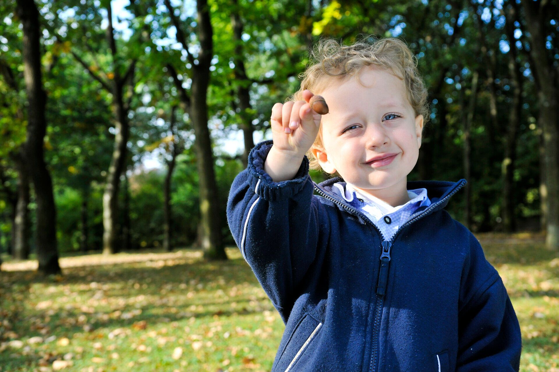 Ein fröhliches Kind hält stolz eine Eichel in der Hand, umgeben von der bunten Pracht des Herbstes. Die goldenen und roten Blätter der Bäume schaffen eine malerische Kulisse, die zum Entdecken und Verweilen einlädt. Hier im Naturpark Föhrenberge wird die Schönheit der Natur in vollen Zügen genossen.