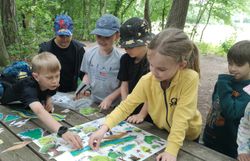 Kinder ordnen Wald-Magnettafel