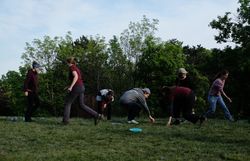 Das Honigbienen vs. Wildbienen-Spiel wird ausprobiert.