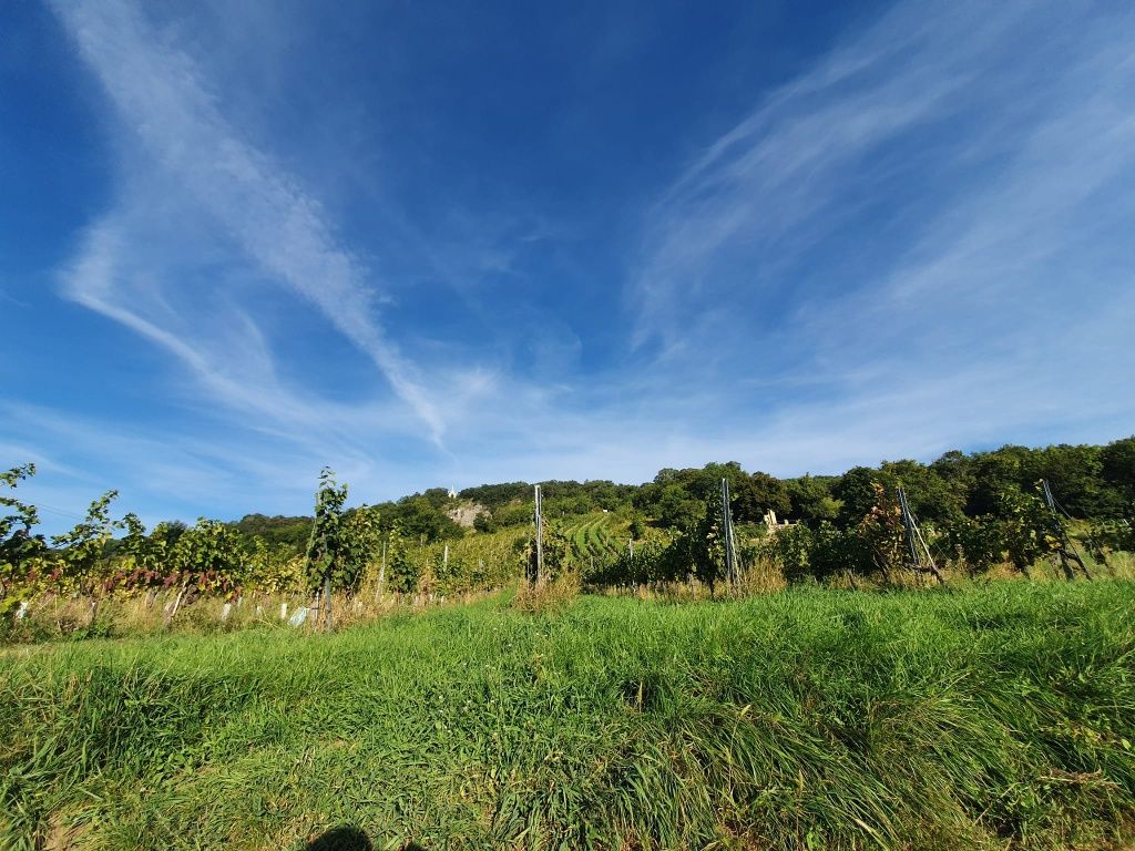 WeinWanderWeg Gumpoldskirchen