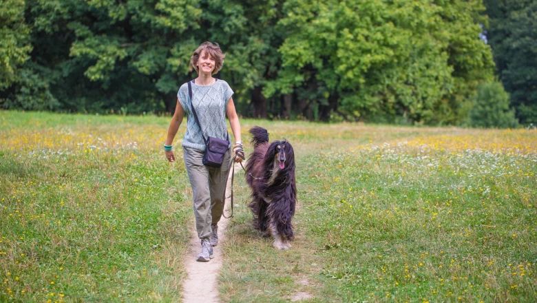 Person spaziert mit Ihrem Hund an der Leine über eine Wiese
