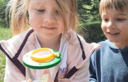 Kinder beobachten Schmetterling in der Becherlupe