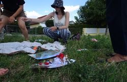 Personen Ordenen Gegenstände den 4 Säulen eines Naturparkes zu