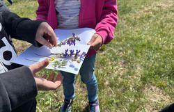 Kinder sammeln Pflanzen für ein Wiesenbild