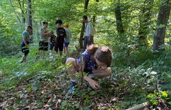 Kinder bei der Suche nach Insekten mit Becherlupen