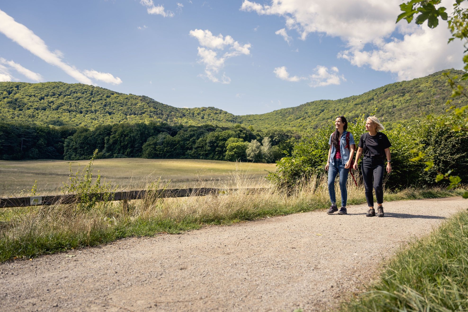 Wandern im Wienerwald