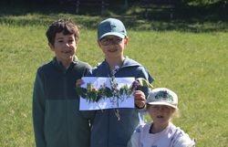 Kinder präsentieren ihr Wiesenklebebild