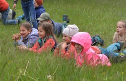 Kinder liegen in der Wiese und versuchen ein Tier darzustellen