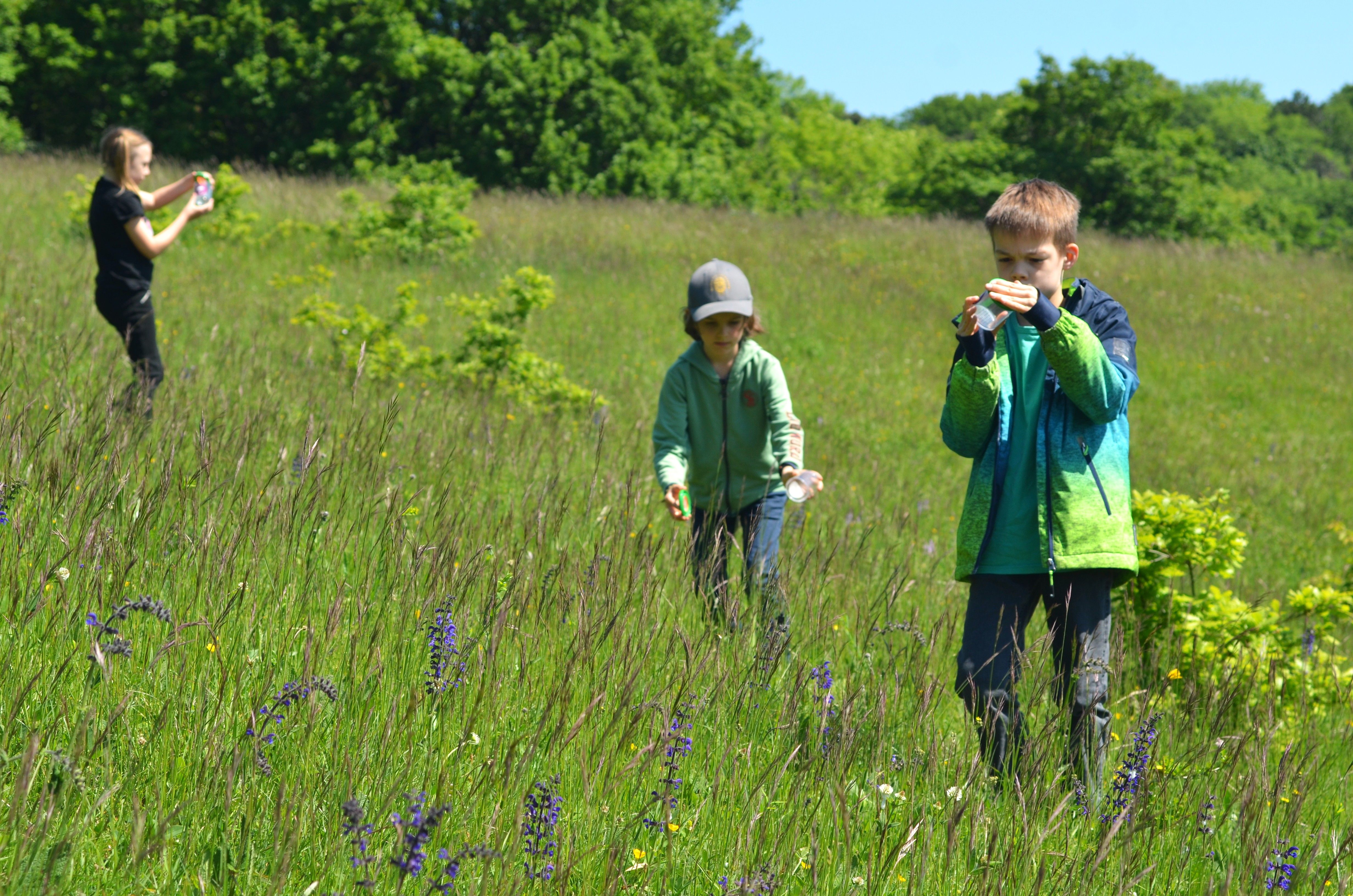 Kinder bewegen sich mit Becherlupen über die Gießhübler Heide.
