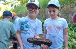 Kinder mit stein voller Köcherfliegenlarven (Trichoptera) 