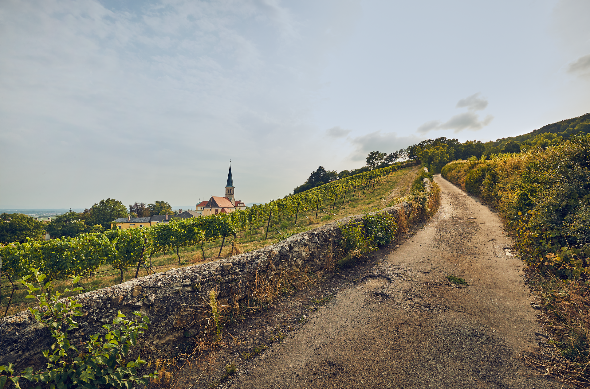 Sanfte Hügel, bedeckt mit üppigen Weinreben, laden zu einem entspannenden Spaziergang ein. Die malerische Landschaft wird von der charmanten Kirche im Hintergrund gekrönt, während die frische Luft den Duft von reifen Trauben verbreitet. Hier, wo die Natur und die Weintradition harmonisch verschmelzen, erleben Besucher die wahre Essenz der Thermenregion.