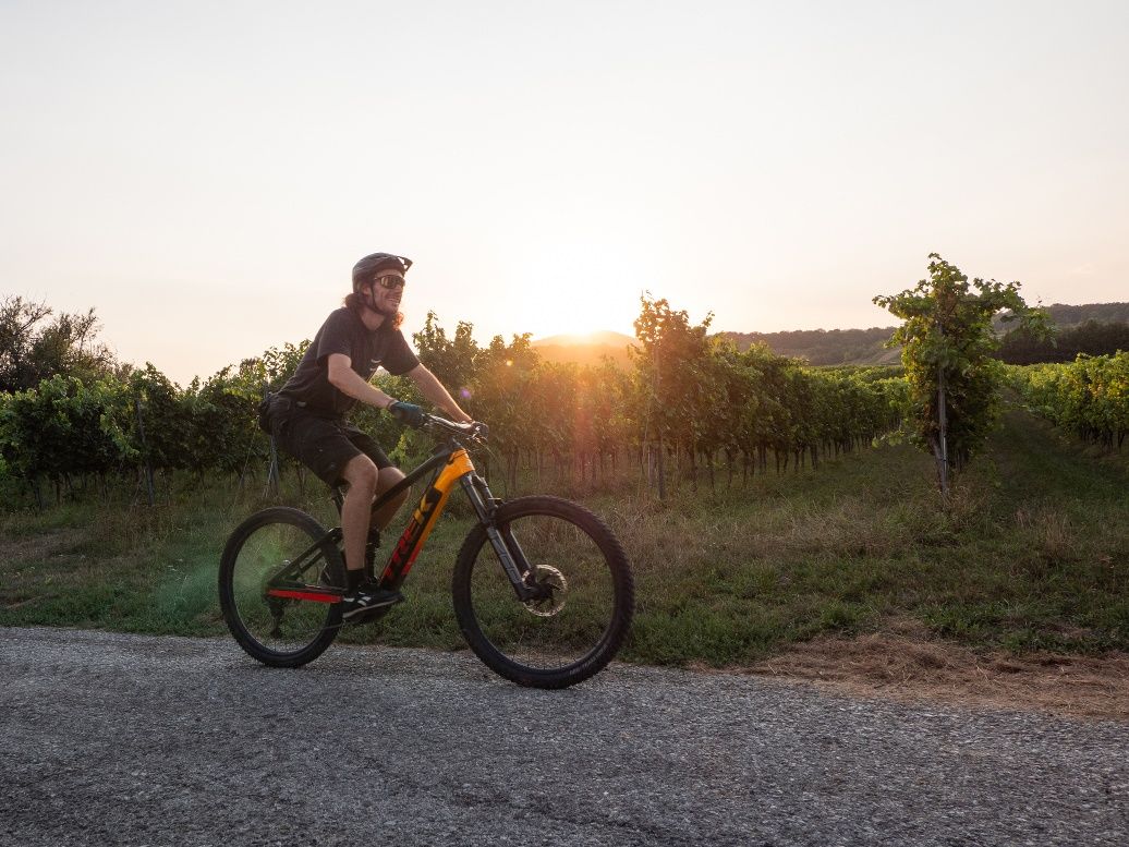 MTB im Wienerwald