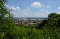 Ausblick über Gumpoldskirchen