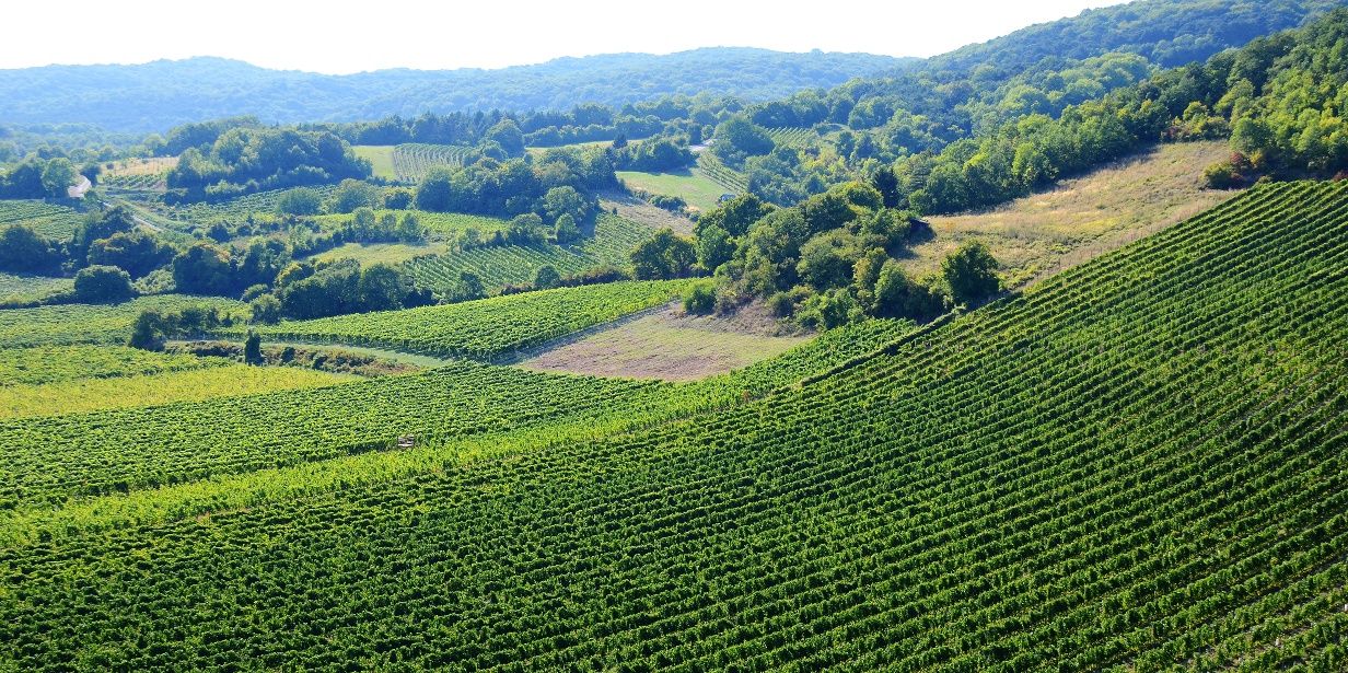 Wasserleitungsweg Landschaft