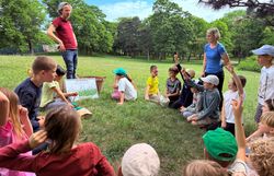 Kinder sitzen im Kreis und besprchen die "Wiesen-Stockwerke"