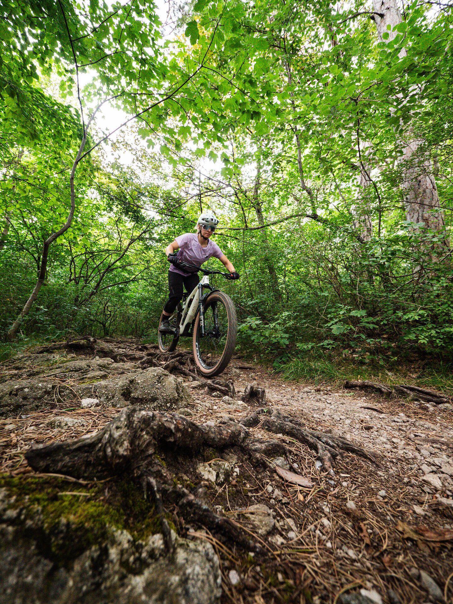 Ein Mountainbiker meistert mit Geschick die herausfordernden Wurzeln und Steine auf dem Husarentempel Trail. Umgeben von üppigem Grün und dem sanften Licht der Sonne, spürt man die Freiheit und den Adrenalinkick der Natur. Diese Region lädt Abenteurer ein, die Schönheit des Wienerwaldes auf zwei Rädern zu erkunden.