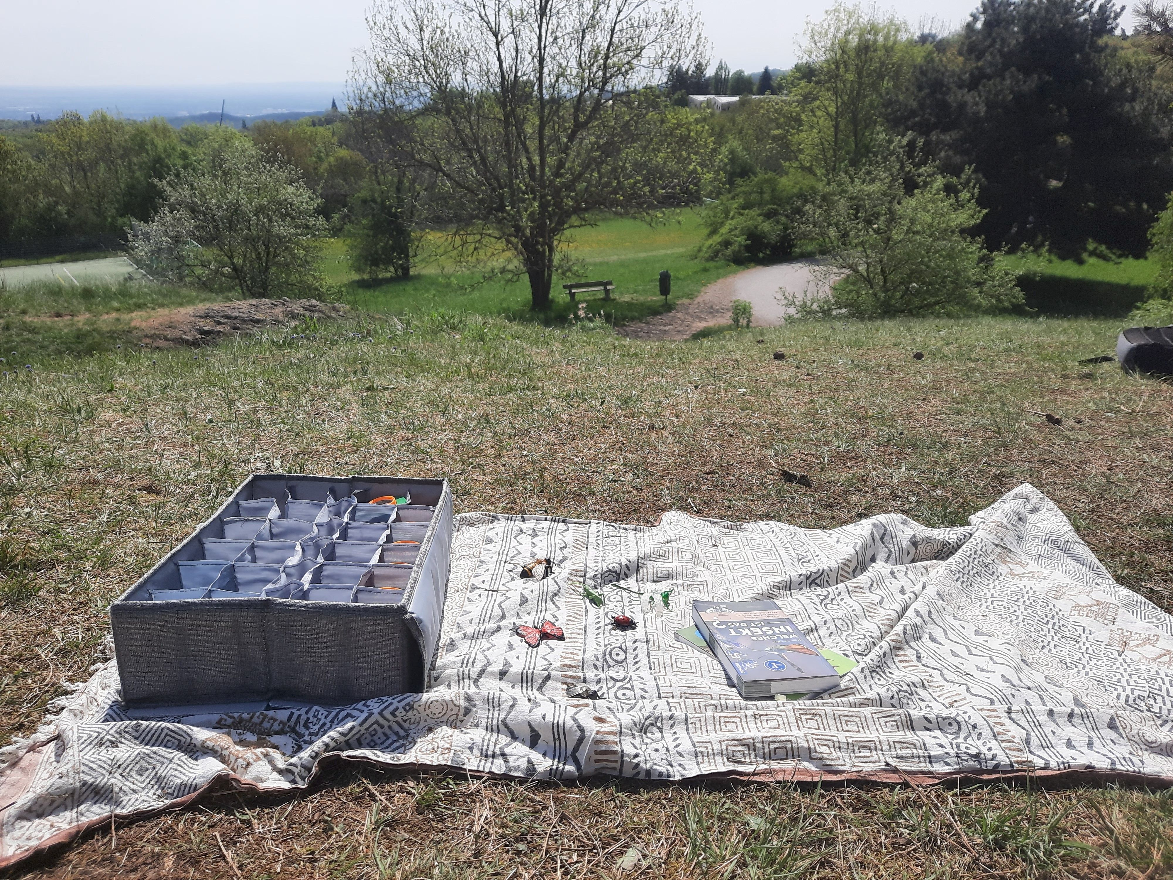 Bildungsmaterial (Becherlupen + Plastik-Insekten) im Einsatz auf der Gießhübler Heide