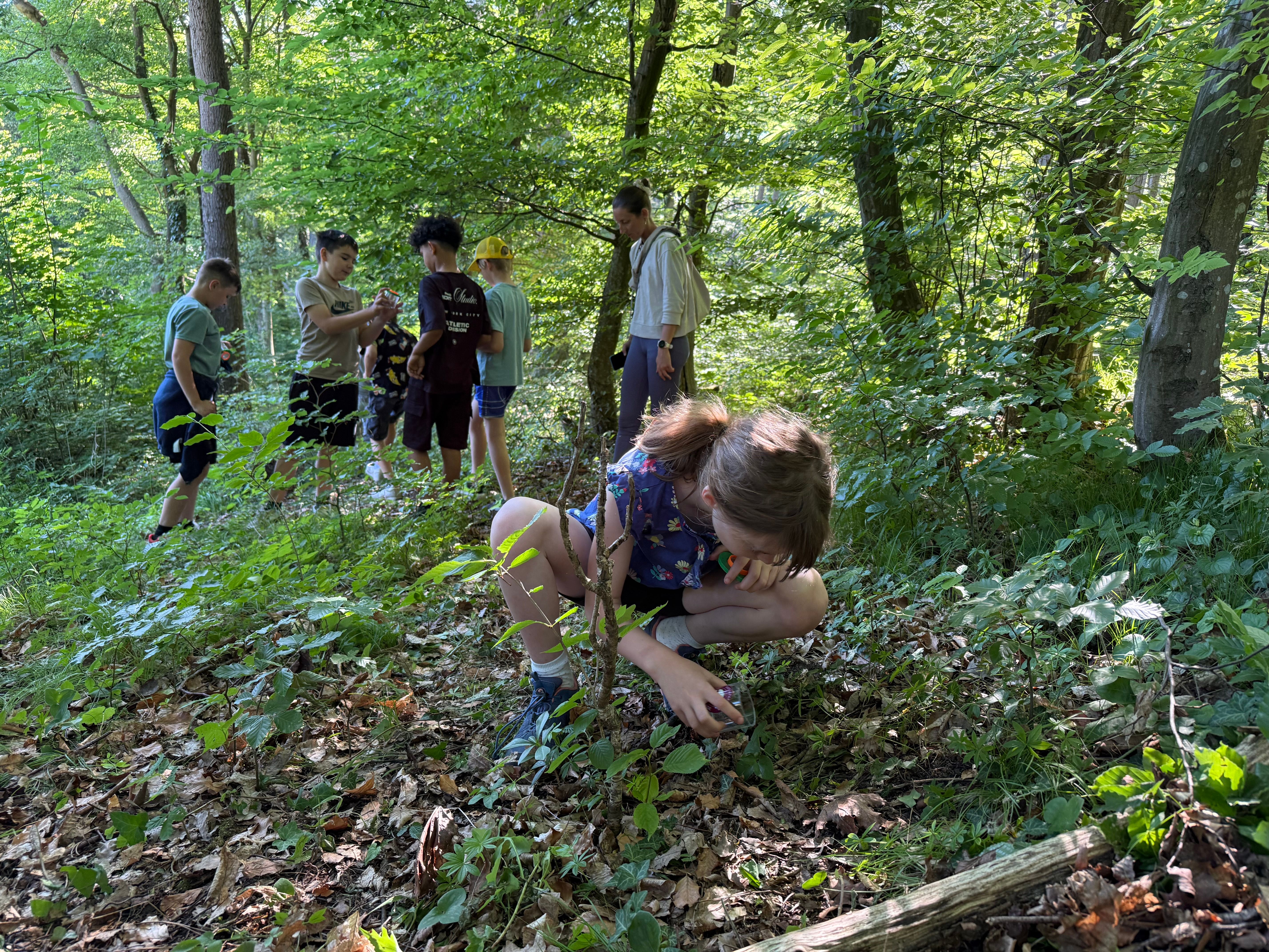 Kinder bei der Suche nach Insekten mit Becherlupen