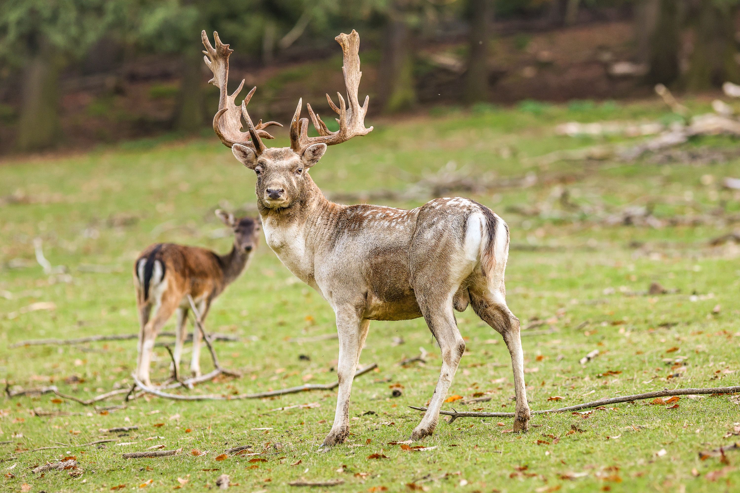 Naturpark Sparbach