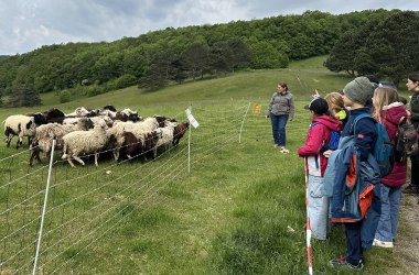 Schäferin Christa Veits, © EWeiszEmesz