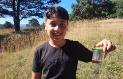 Stolz wurden die Insektenfunde von den Kindern präsentiert.