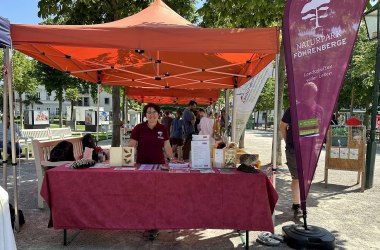 Unsere Kollegin Elke hat heute den Infostand für den Naturpark Föhrenberge betreut. , © LPV/E. Weisz-Emesz