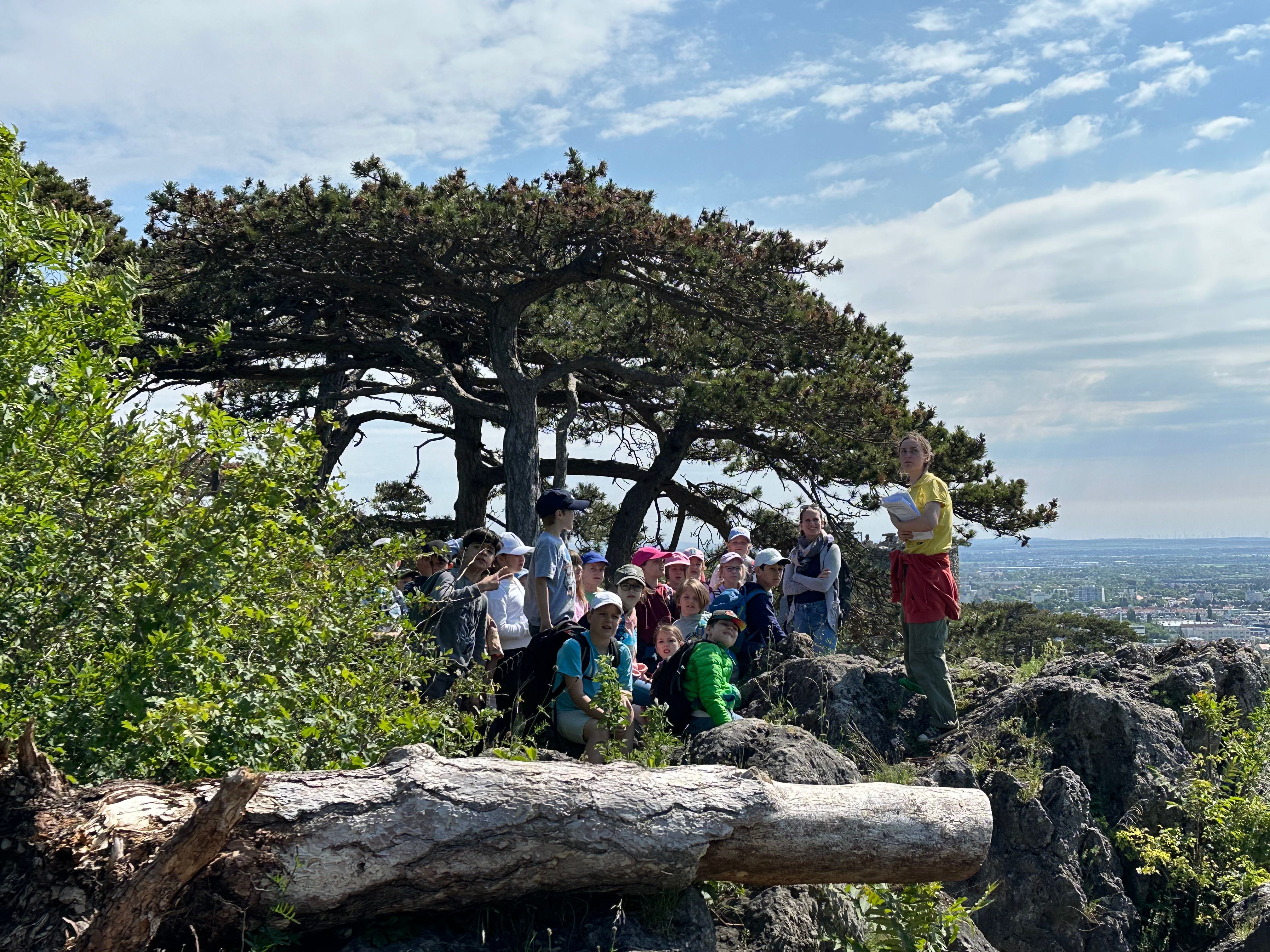 Hoch über Mödling erzählt Naturpädagogin Nora spannendes über die Ruinen am Kalenderberg.