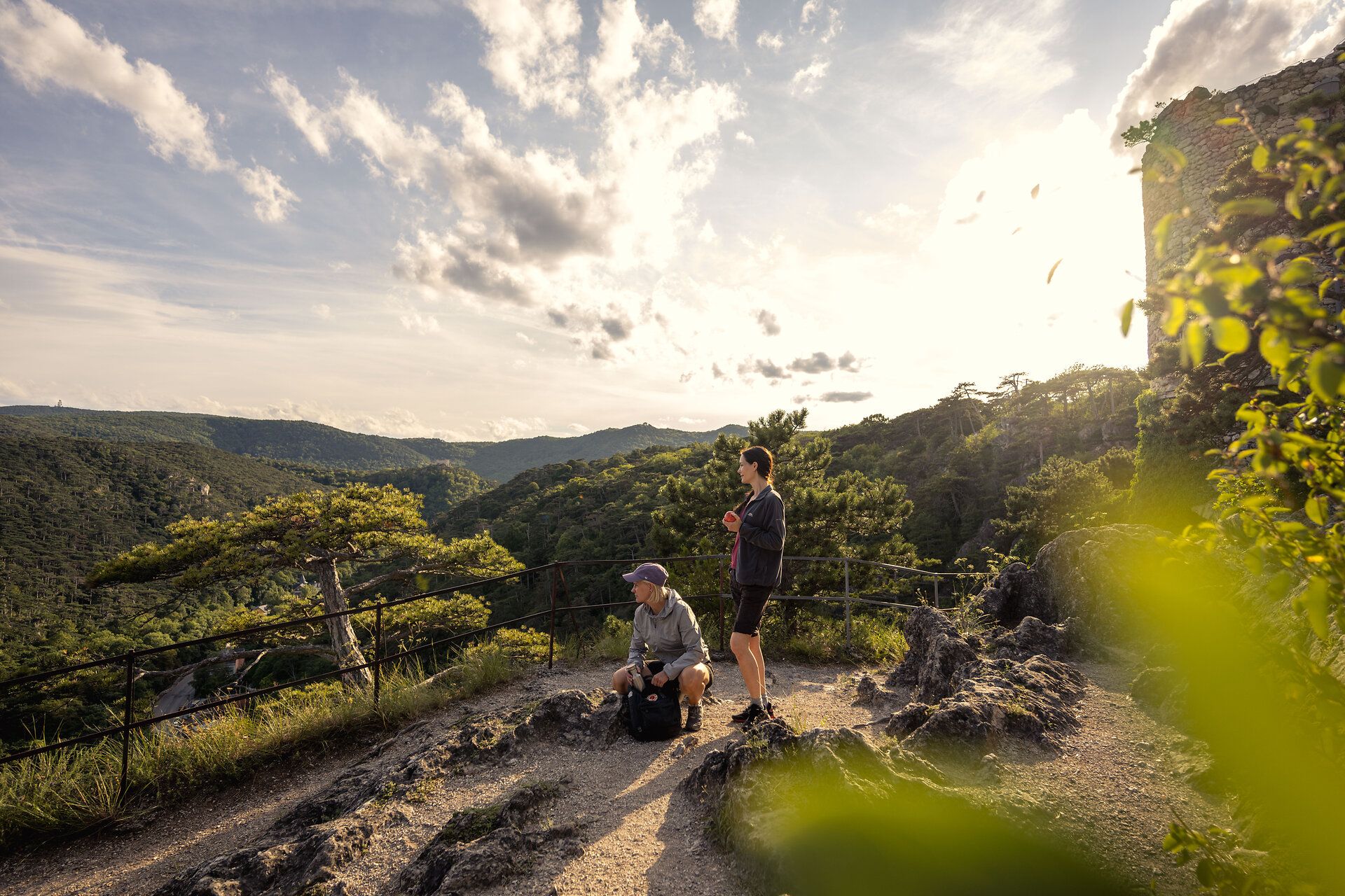 Ein Wanderer durchquert die sanften Hügel, umgeben von üppigem Grün und dem Duft blühender Wildblumen. Die ruhige Atmosphäre lädt dazu ein, die Seele baumeln zu lassen und die Schönheit der Natur zu genießen. Hier, wo der Wiener Wallfahrerweg verläuft, wird jeder Schritt zu einem Erlebnis der Besinnung und Erholung.