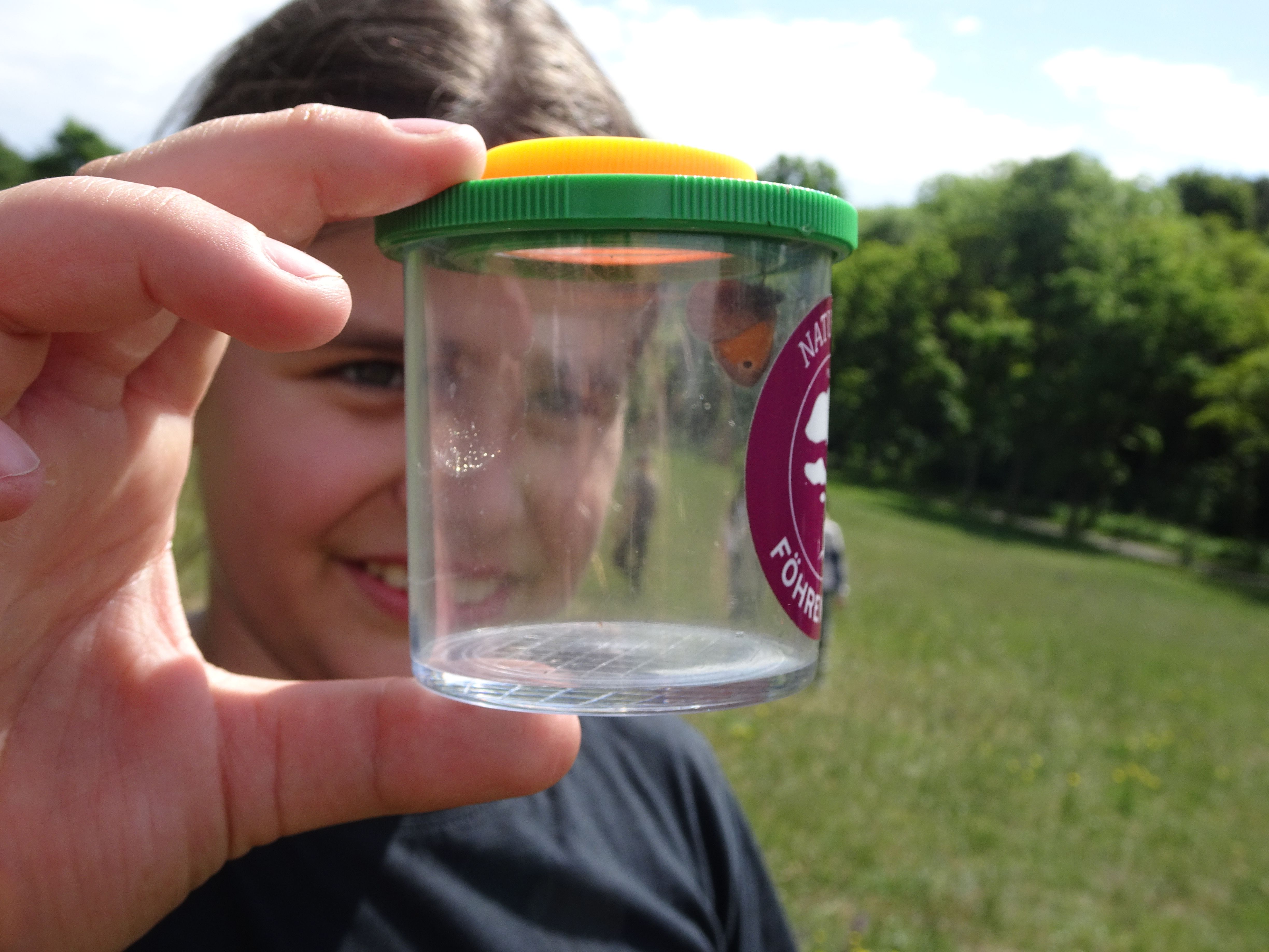 Kind betrachtet Schmetterling in der Becherlupe