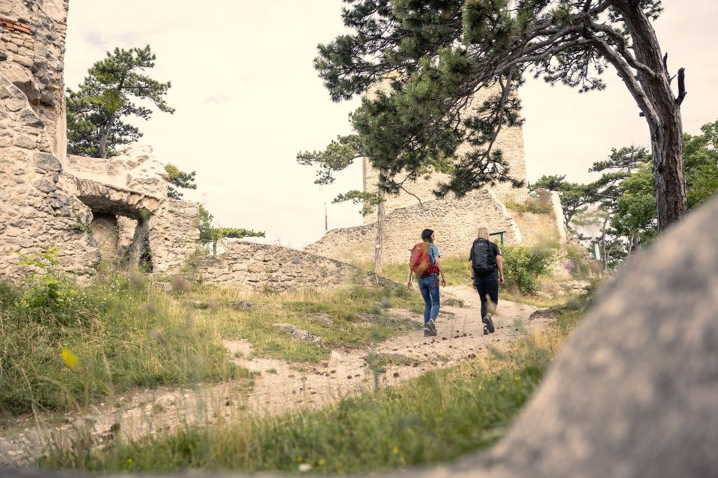 Wandern im Wienerwald